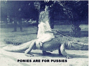 Ponies are for Pussies